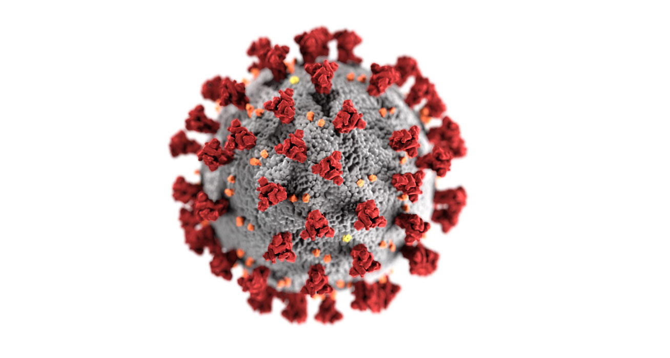 Coronavirus Pandemic